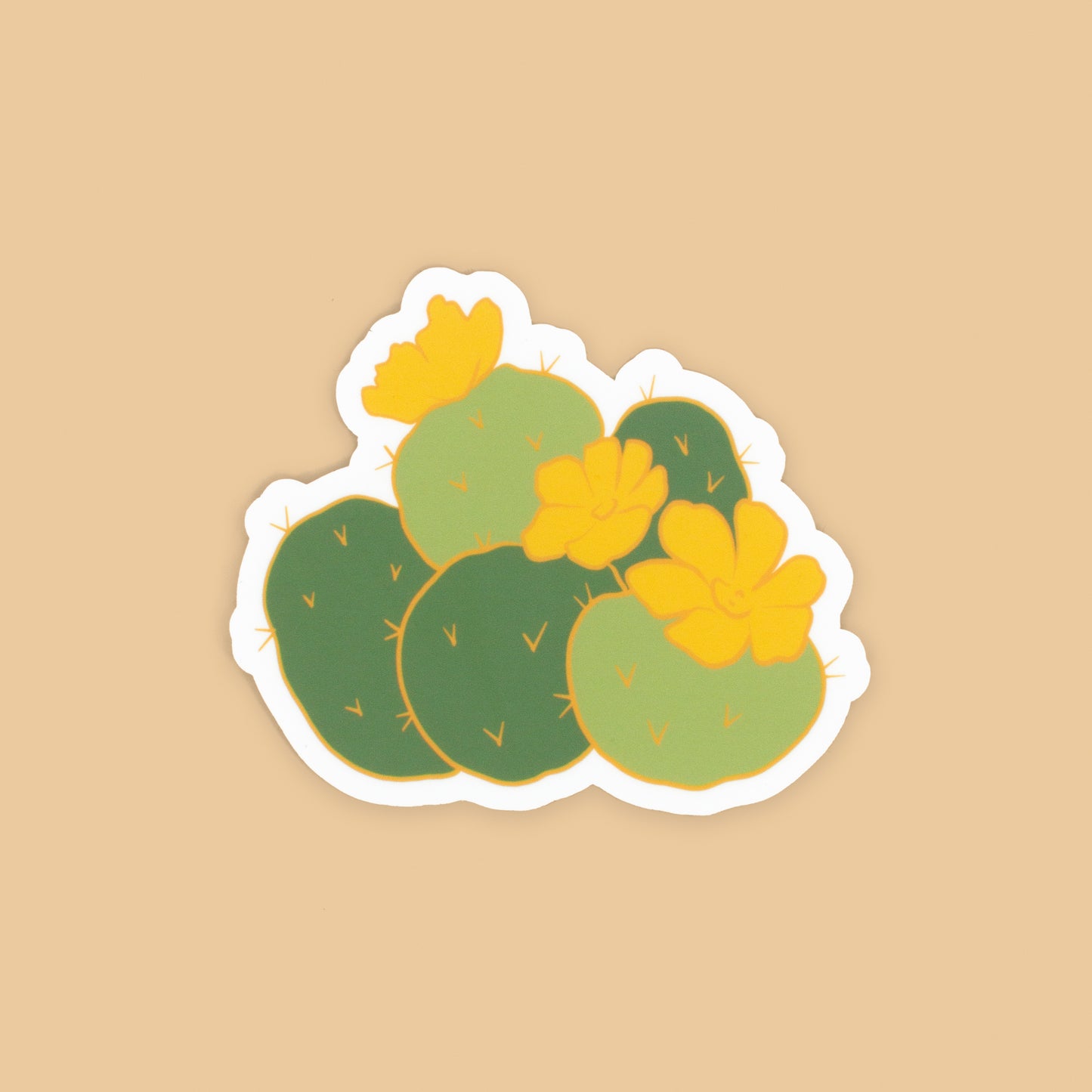 Prickly Pati, Enamel Pin, Cacti Friend Series