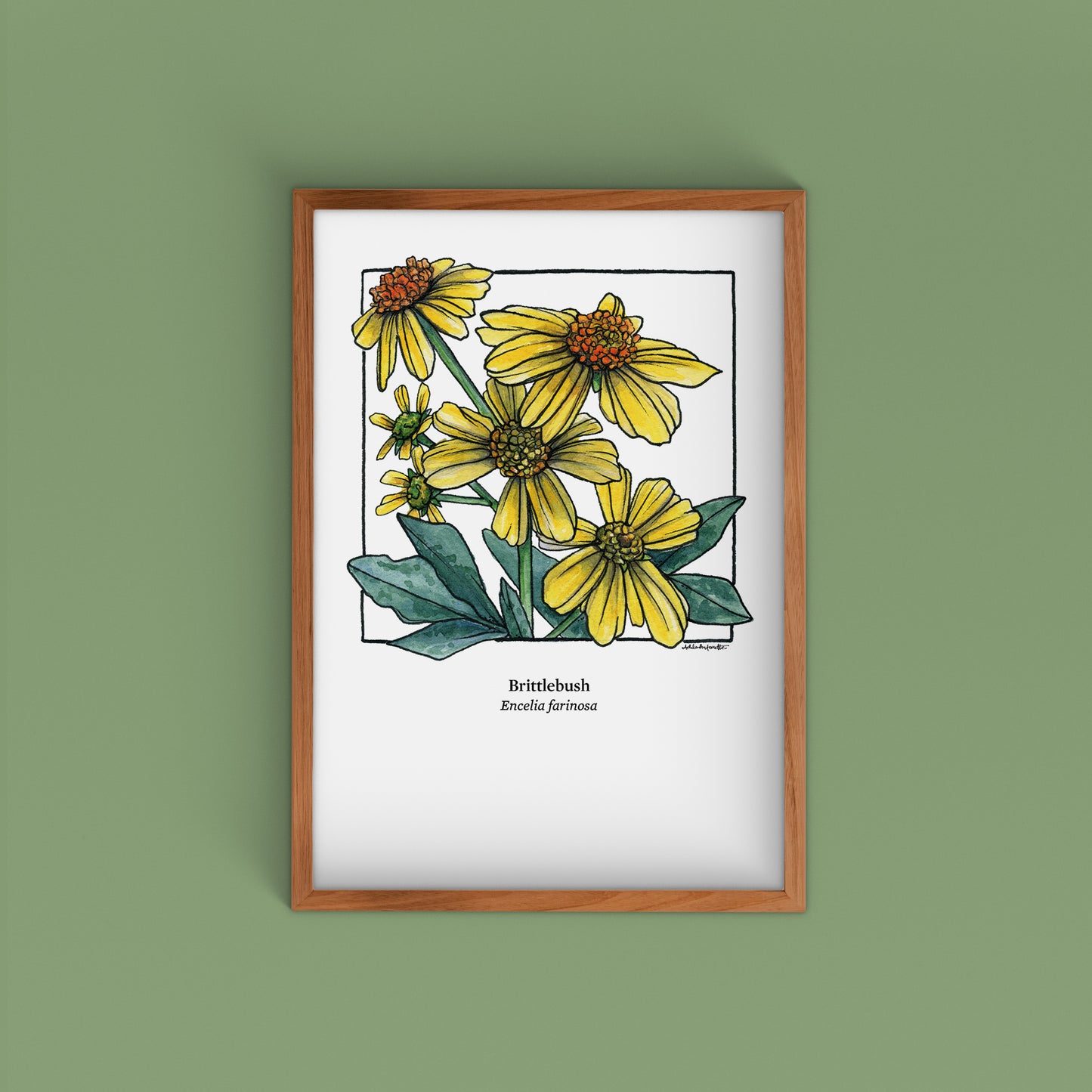 Desert Bloom Archival Prints | Twelve Designs - Limited Edition | 5" x 7"